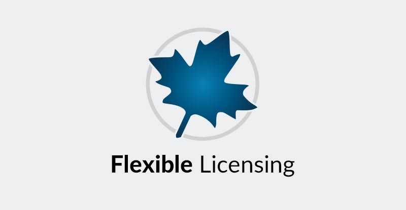 Flexible Licensing
